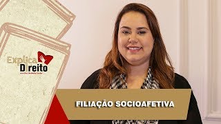 Explica Direito Filiação Socioafetiva  2019 [upl. by Atirac]