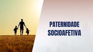 Paternidade socioafetiva [upl. by Eenafets]