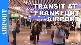 TRANSIT WALK AT FRANKFURT Airport FRA Terminal 1  Connection Flight Transfer Arriving amp Departing [upl. by Nomyad]